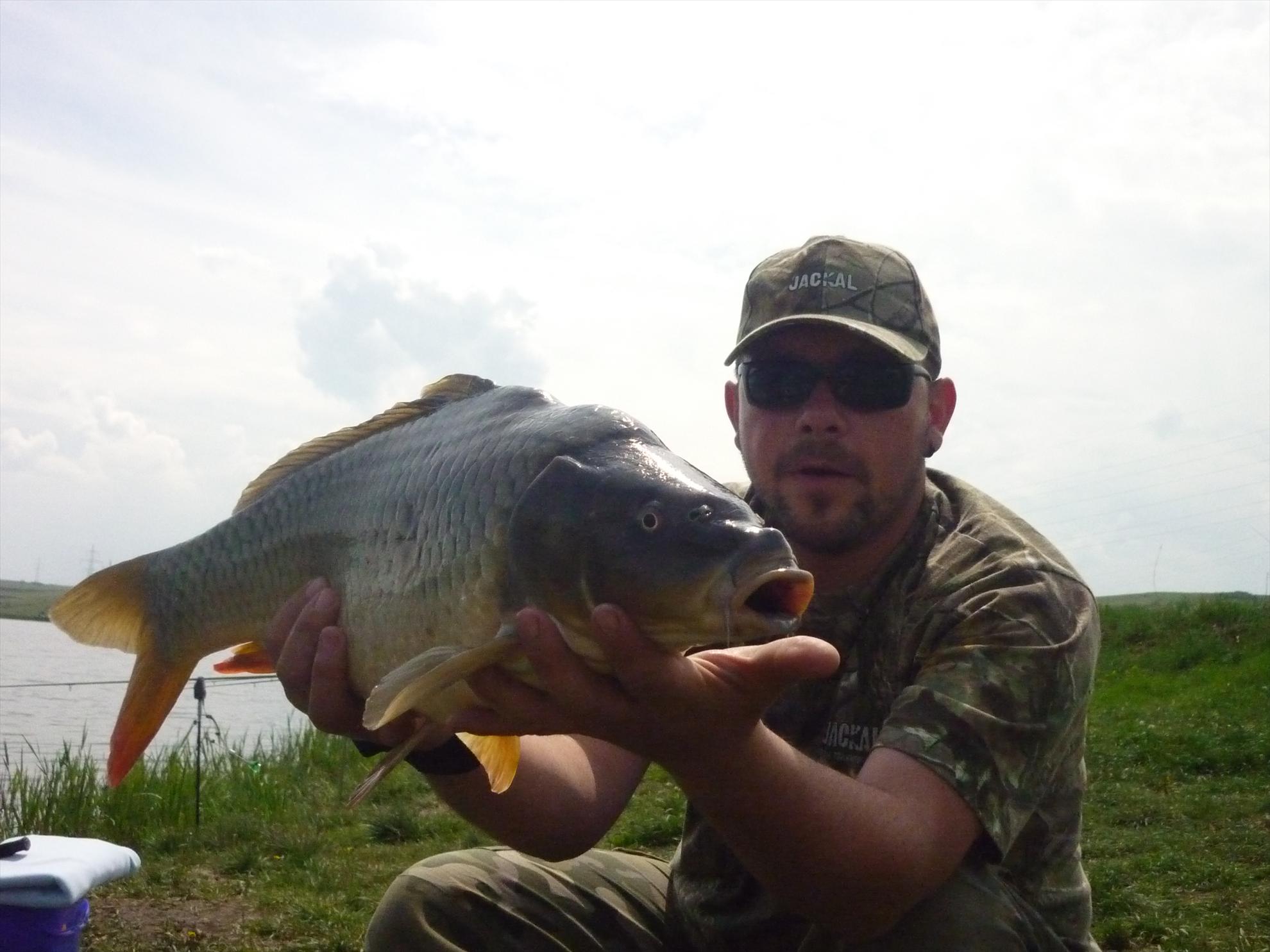 Stejeris 2011 - p1020009.JPG